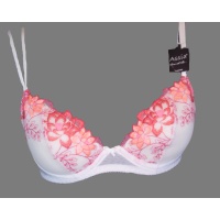 corail-dp